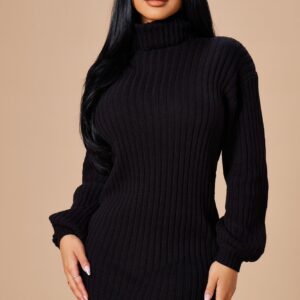 Too Cozy Turtle Neck Sweater Dress - Black